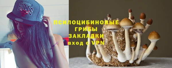 ALPHA PVP Магас