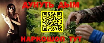 шишки Гай