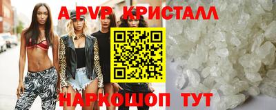 шишки Гай