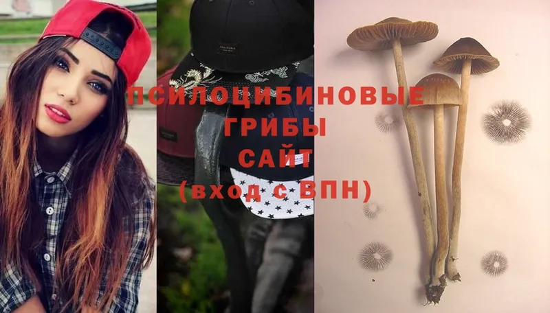 Галлюциногенные грибы Psilocybe  Семилуки 