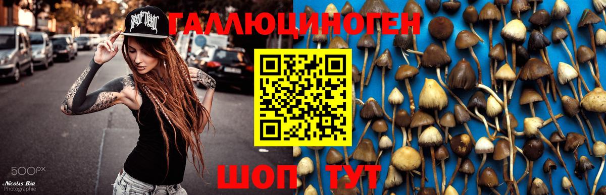 Марихуана  ГАШ  ЭКСТАЗИ  LSD-25  Мефедрон   Семилуки  ГАШИШ  Вход с VPN 