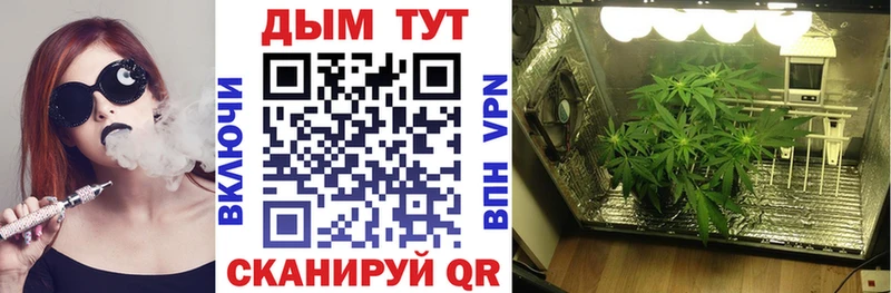 Марихуана план купить закладку Семилуки